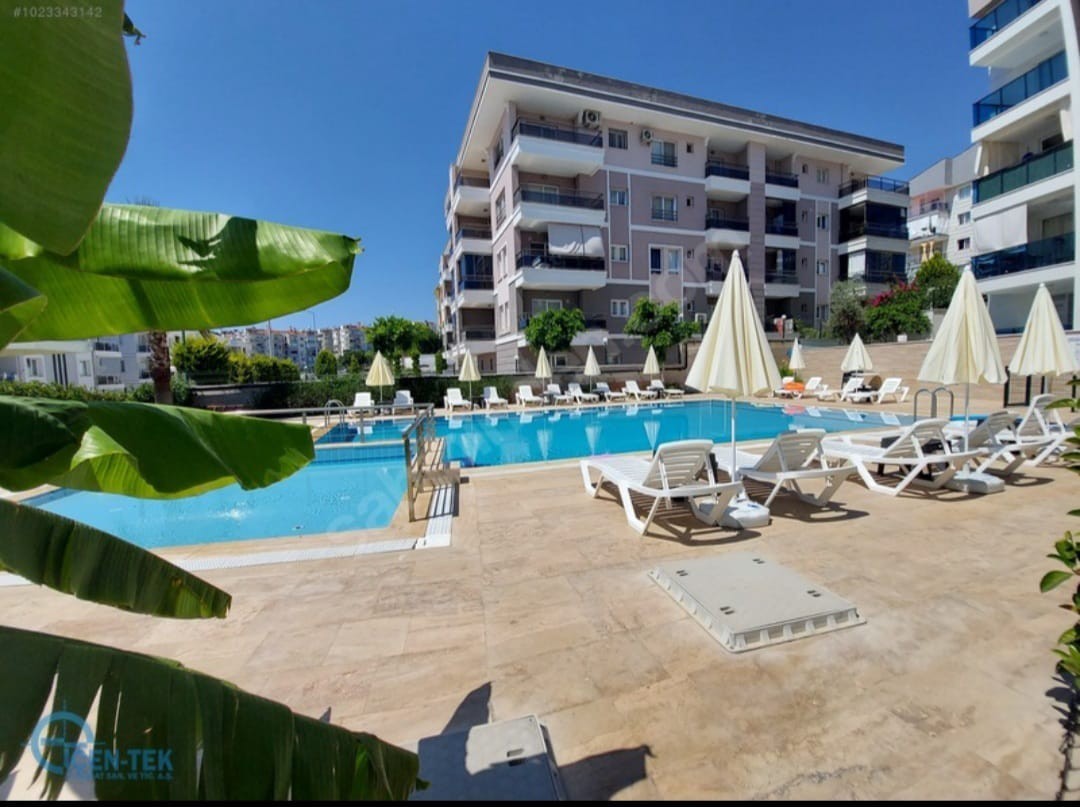 A New Living Space Beyond Dreams